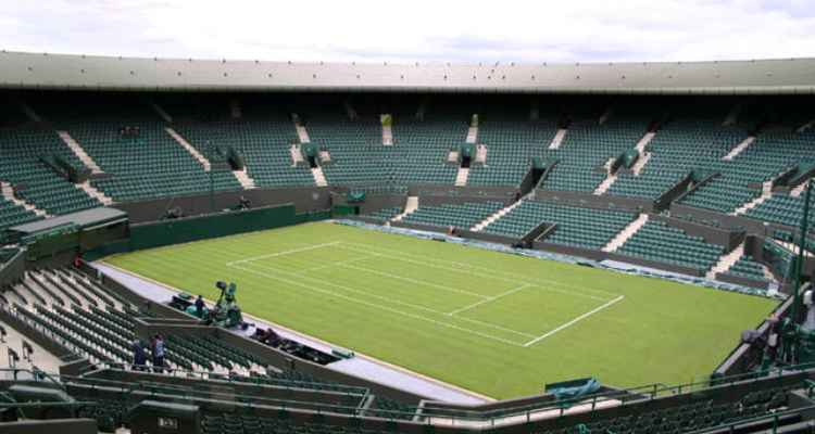 sân cỏ tennis